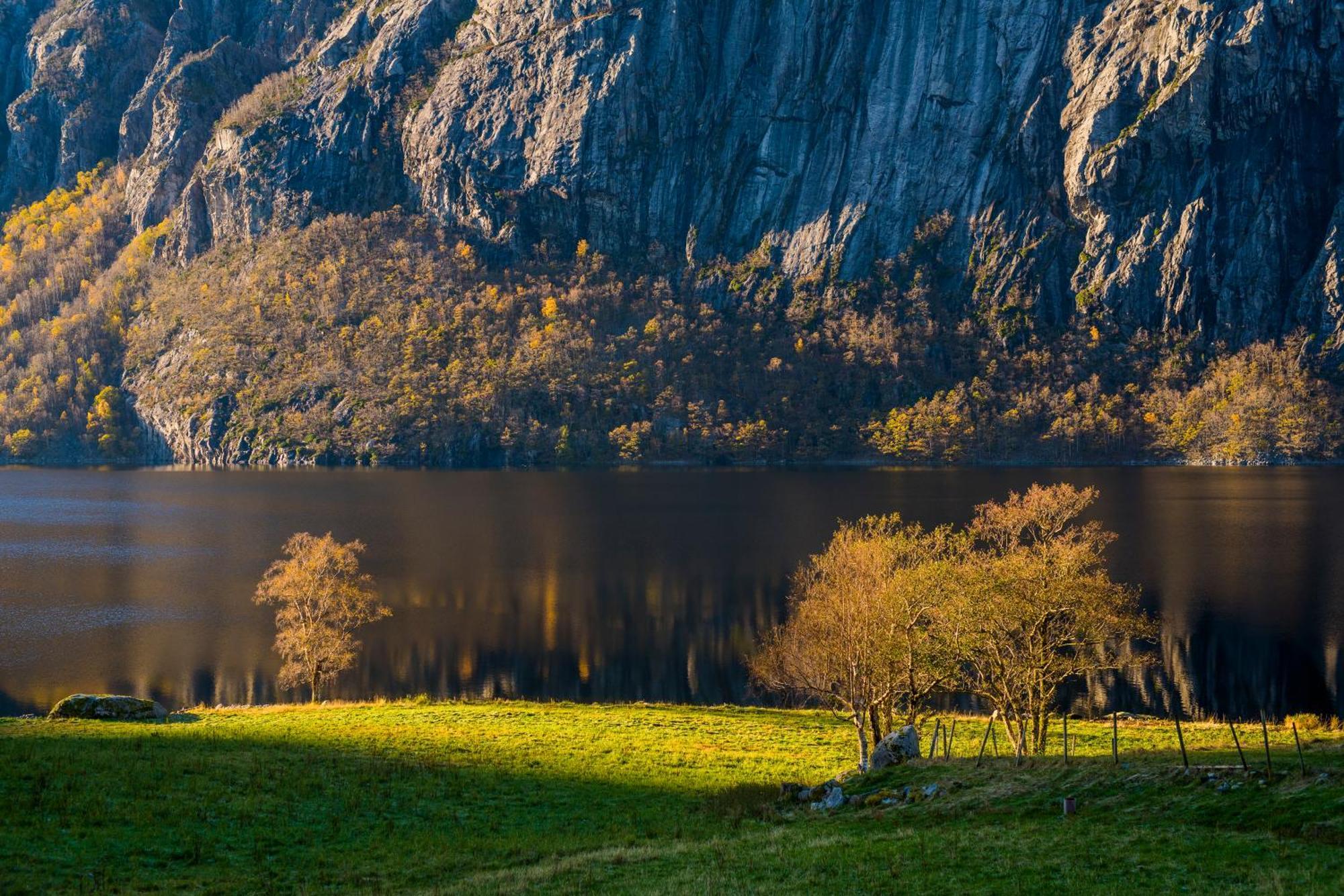 Hytte Ved Preikestolen Forsand Экстерьер фото